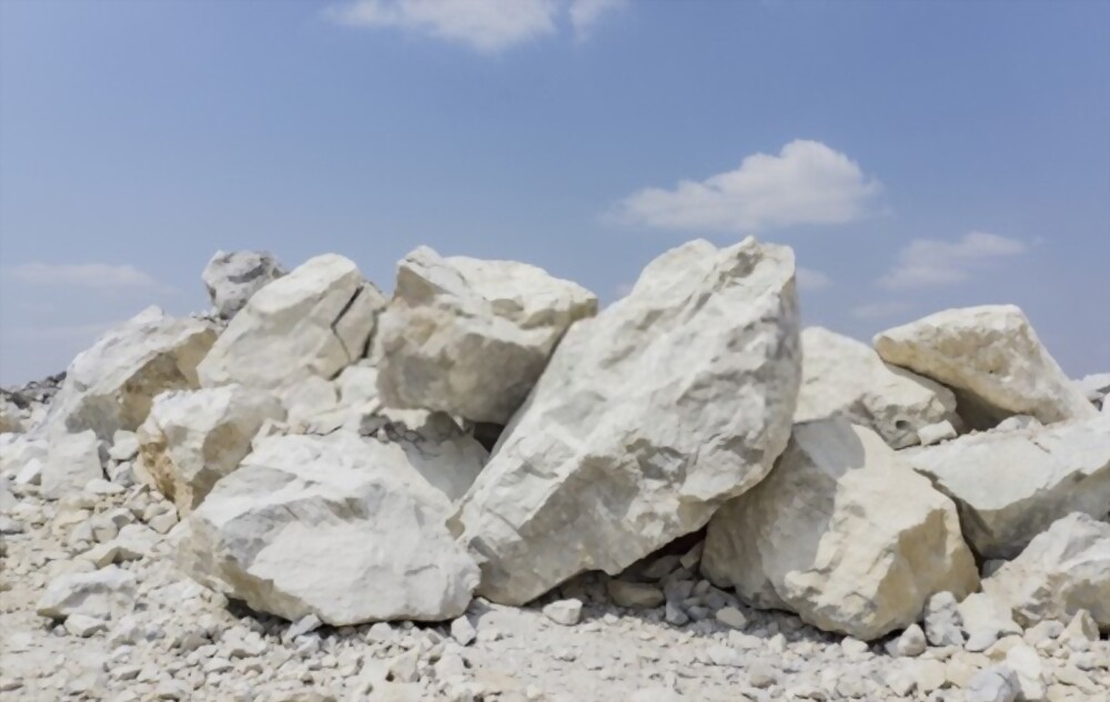 Batuan Sedimen Organik