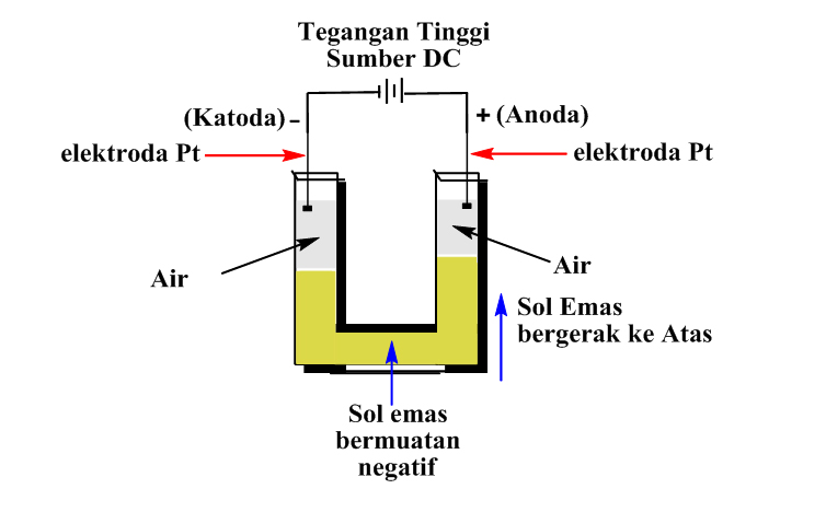 Elektroforesis