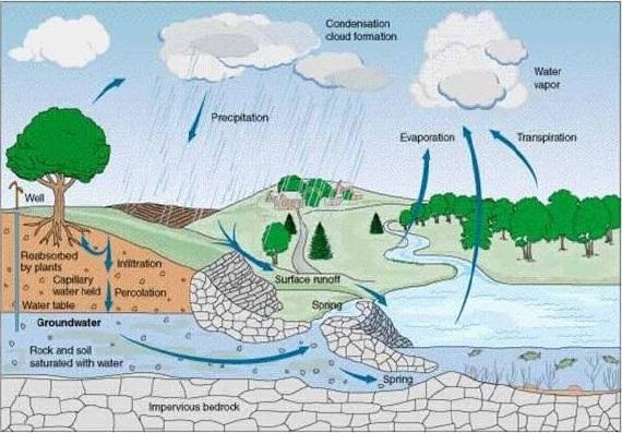 Perbedaan Hidrogeologi dan Hidrologi
