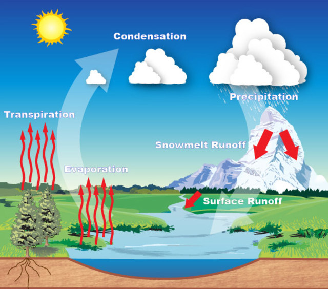 Unsur-Unsur Utama dalam Siklus Hidrologi